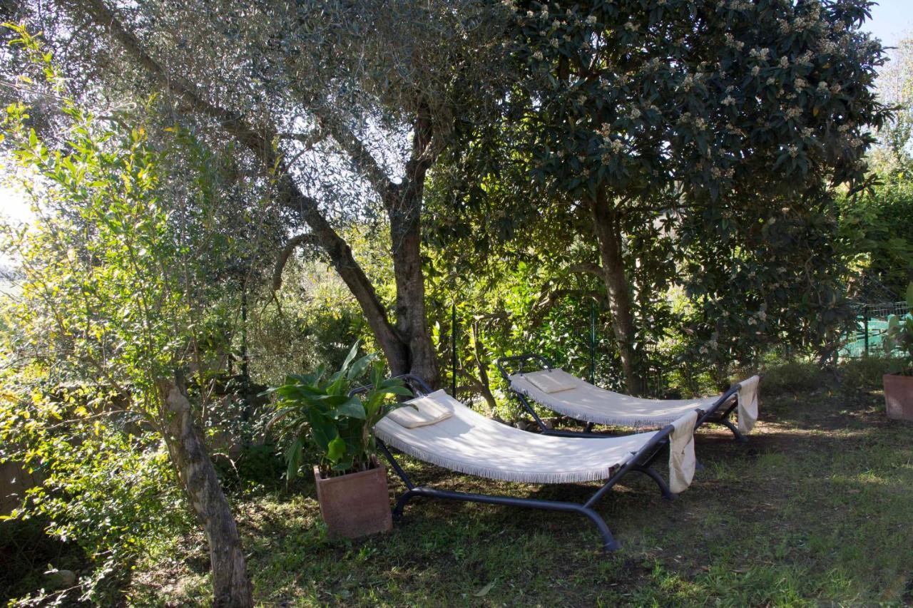 Casale San Pietro Bed and Breakfast Otricoli Buitenkant foto