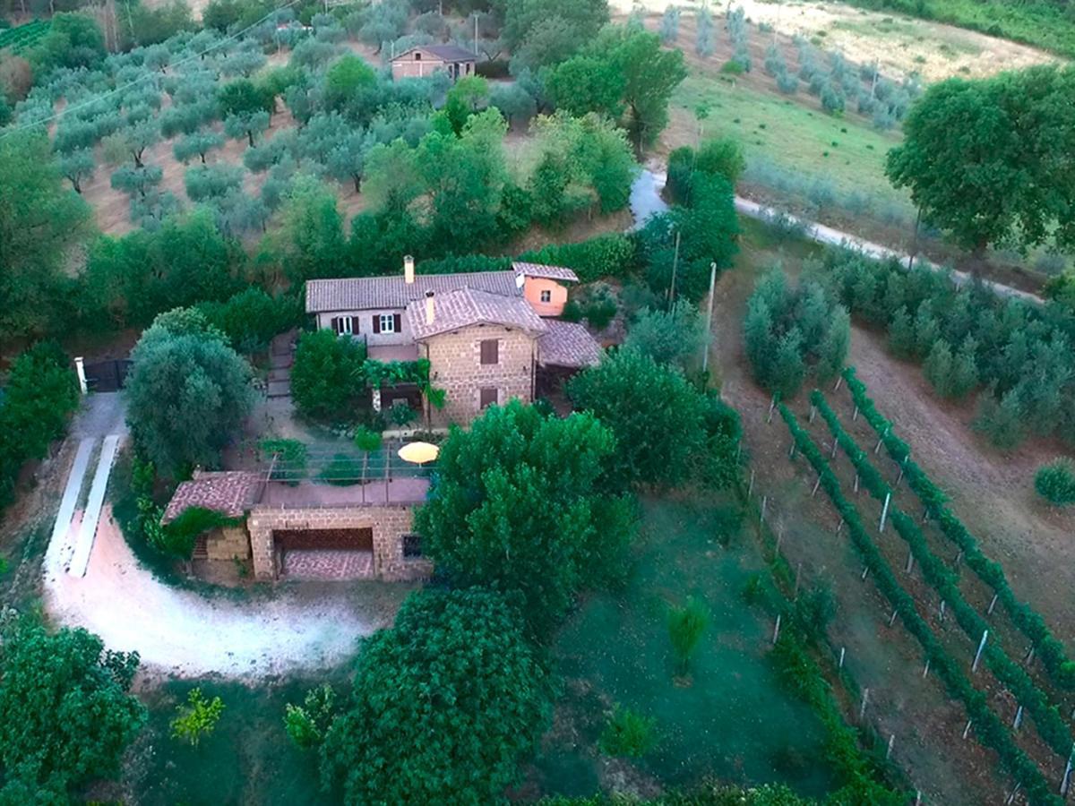 Casale San Pietro Bed and Breakfast Otricoli Buitenkant foto