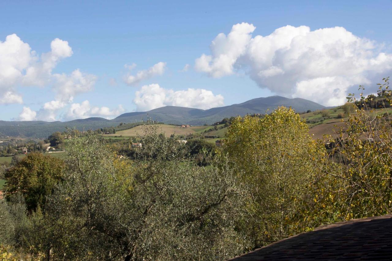 Casale San Pietro Bed and Breakfast Otricoli Buitenkant foto