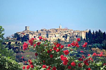 Casale San Pietro Bed and Breakfast Otricoli Buitenkant foto